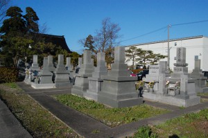 墓地南側